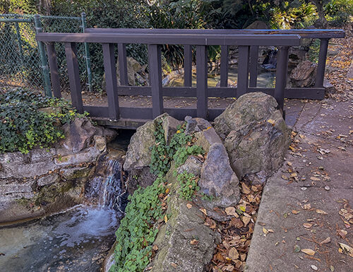Penn Park in Whittier California Gallery 12