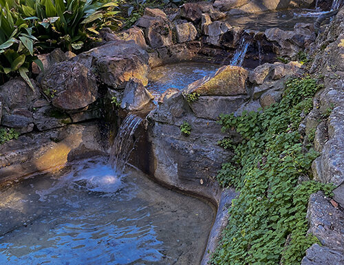 Penn Park in Whittier California Gallery 10