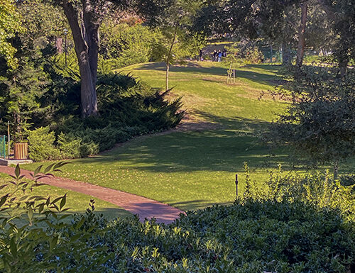 Penn Park in Whittier California Gallery 7