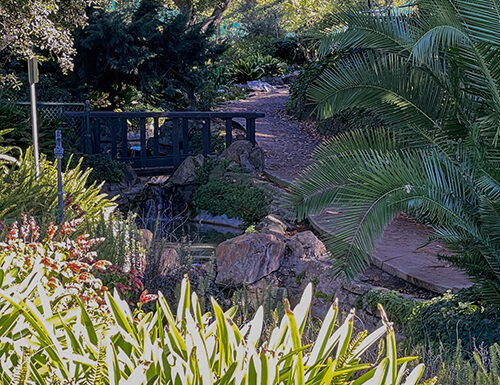 Penn Park in Whittier California Gallery 1