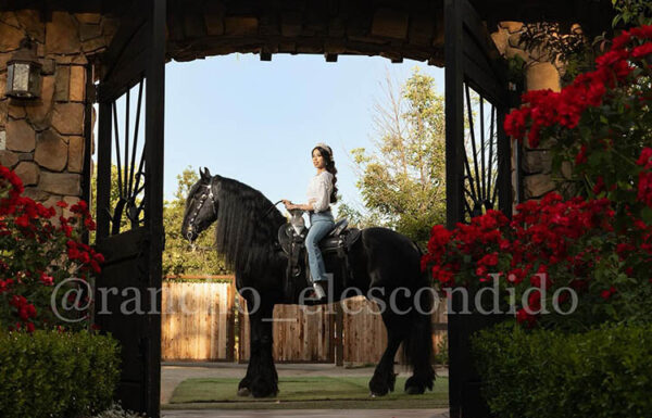 Rancho El Escondido Renta de Caballos Gallery 0