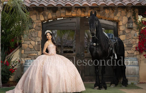 Rancho El Escondido Renta de Caballos Gallery 1