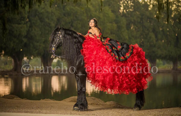 Rancho El Escondido Renta de Caballos Gallery 2
