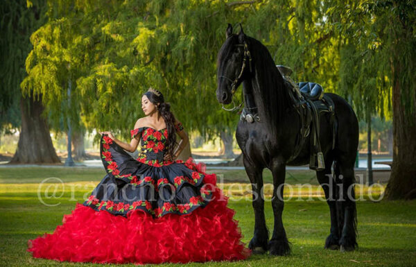 Rancho El Escondido Renta de Caballos Gallery 3