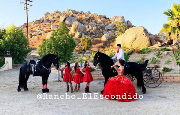 Rancho El Escondido Renta de Caballos Gallery 5