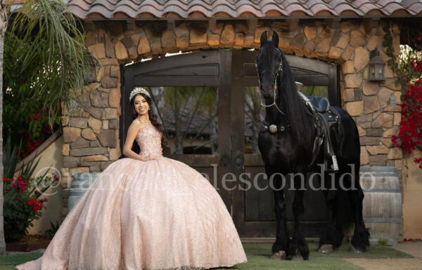 Rancho El Escondido Renta de Caballos Gallery 6