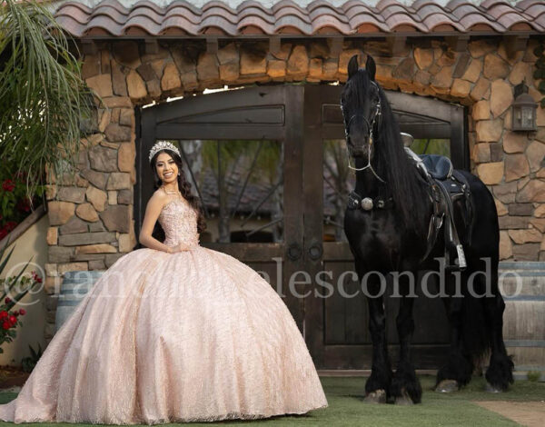 Renta Listing Category Rancho El Escondido Renta de Caballos