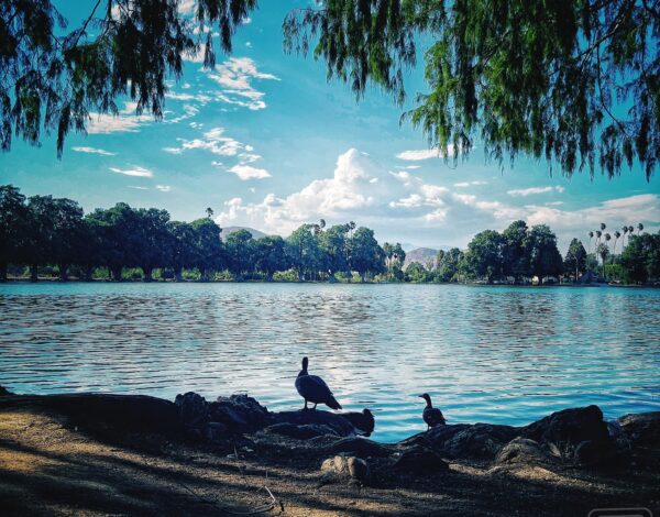 Escenarios Listing Category Fairmount Park Riverside CA